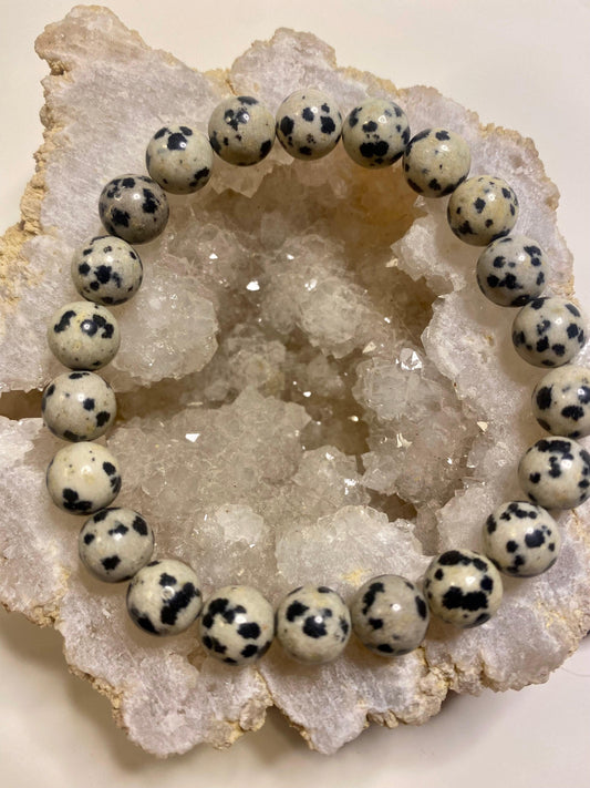 Dalmation Jasper 8mm Bead Bracelet - Crystal Intentions