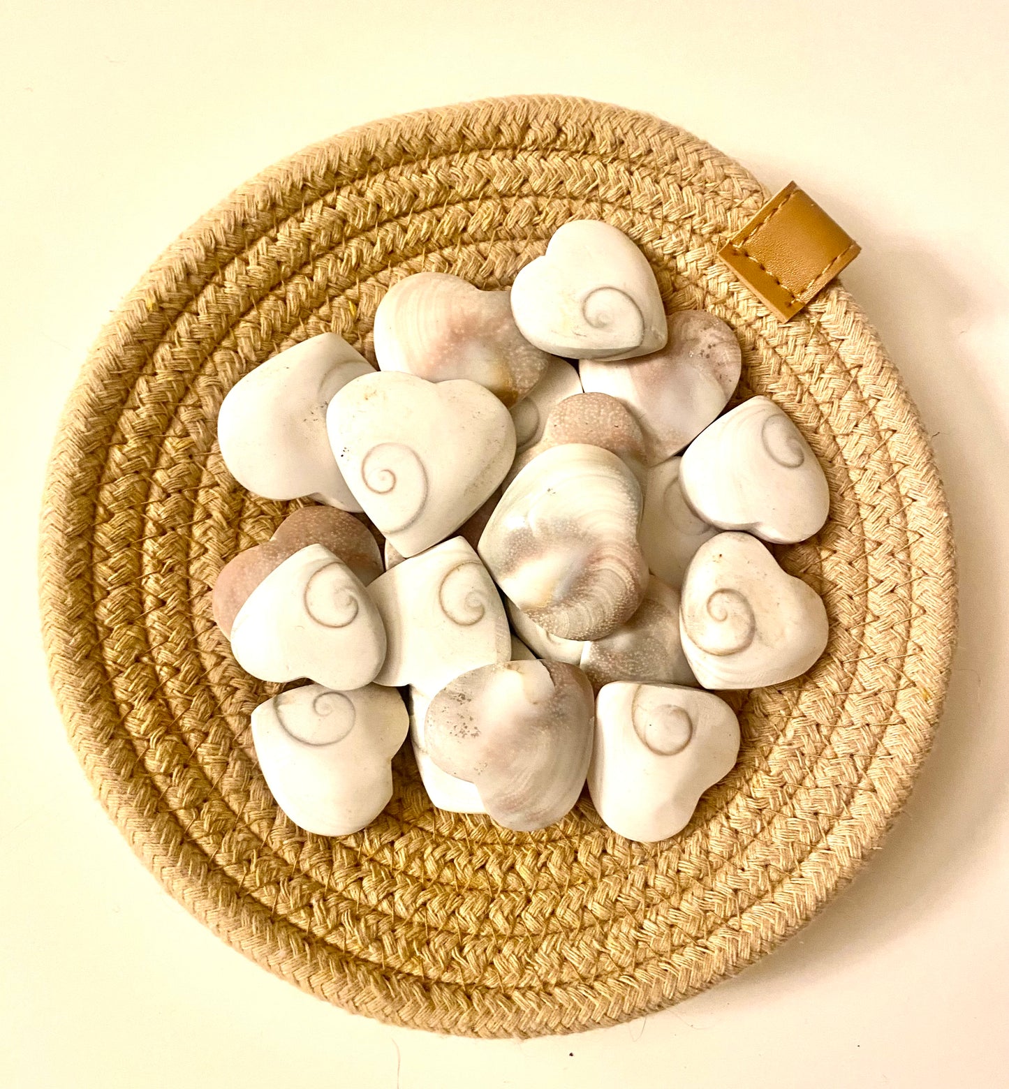 Shiva Shell Hearts